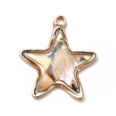 Brass Enamel Pendants KK-K252-10G-09-1