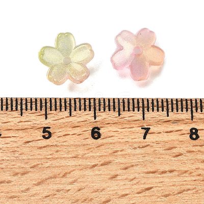 Acrylic Bead Caps OACR-I024-01E-1