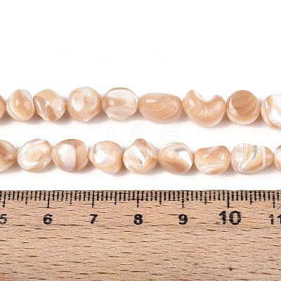 Natural Trochid Shell/Trochus Shell Beads Strands SSHEL-N040-13-1