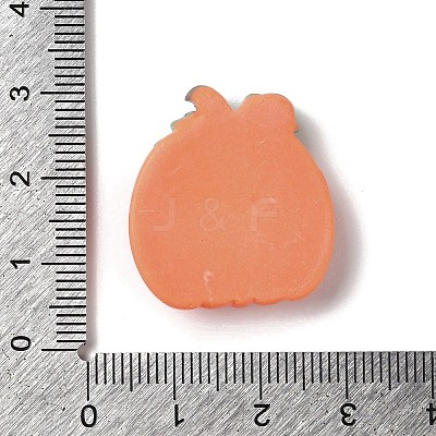 Cartoon Tribe Theme Opaque Resin Decoden Cabochons RESI-M043-01F-1