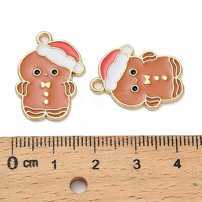Alloy Enamel Pendants FIND-Z096-01G-01-1