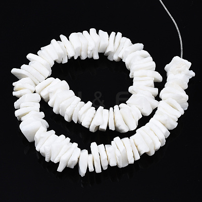Natural White Shell Beads Strands SSHEL-S266-029-1