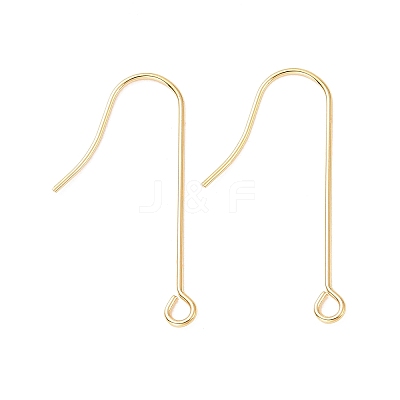 316 Surgical Stainless Steel Earring Hooks LS-X-STAS-E027-02B-G-1