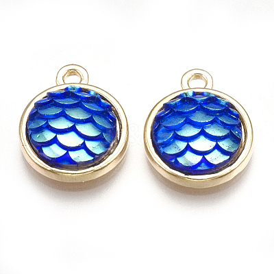 Alloy Resin Charms PALLOY-T056-24B-1
