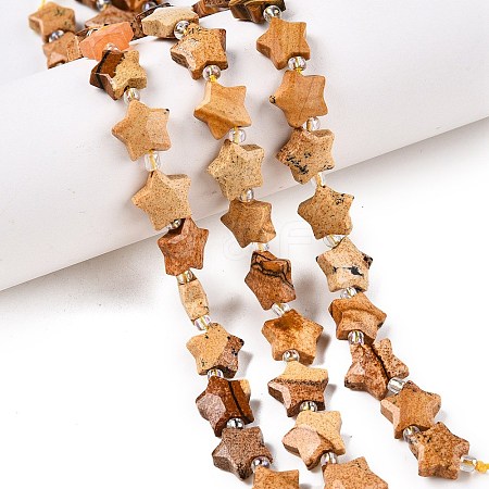 Natural Picture Jasper Beads Strands G-T138-189-1