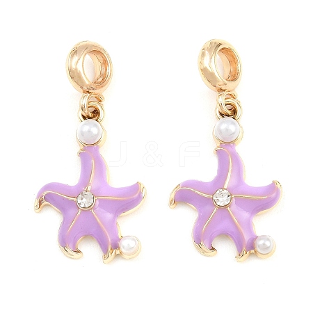 Alloy Enamel European Dangle Charms AL-CBAC2D3-01G-02-1