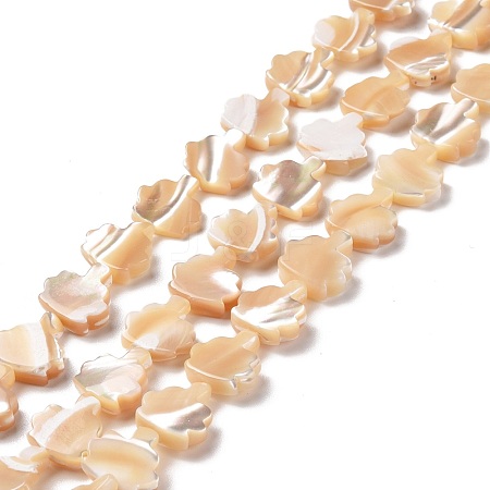 Natural Trochid Shell Beads Strands SSHEL-G023-09A-1