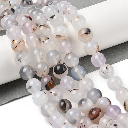 Natural Dendritic Agate Beads Strands G-A248-A07-04-1