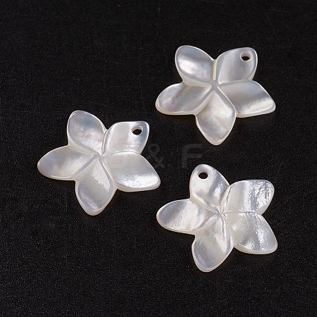 Natural White Shell Mother of Pearl Shell Pendants LS-SSHEL-G014-60-1
