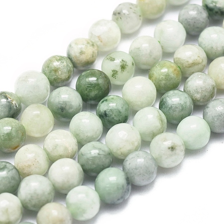  Jewelry Beads Findings Natura Myanmar Jade Beads Strands, Round, 6mm, Hole: 0.5mm; about 66pcs/Strand, 15.75