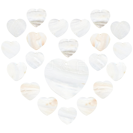 20Pcs Freshwater Shell Pendants SHEL-SC0001-19-1