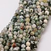 Natural Tree Agate Bead Strands X-G-G882-6mm-E02-1