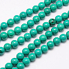 Natural Magnesite Beads Strand TURQ-G096-10mm-1