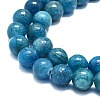 Natural Apatite Beads Strands G-K245-A03-04-3