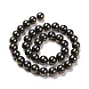 Shell Pearl Bead Strands X-BSHE-L025-05-6mm-5