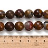 Natural Wealth Stone Beads Strands G-C289-B01-12mm-5
