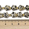 Natural Dalmatian Jasper Beads Strands G-Z080-A08-10mm-5