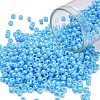 TOHO 8/0 Round Beads X-SEED-TR08-0403-1