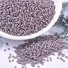 MIYUKI Round Rocailles Beads SEED-G007-RR0410F-4