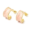C-Shaped Brass Enamel Stud Earrings EJEW-P333-07G-6