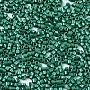 11/0 Grade A Baking Paint Glass Seed Beads SEED-S030-1039-2