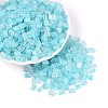 Transparent Spray Painted Glass Seed Beads SEED-L011-10A-16-1
