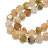 Natural Gemstone Beads Strand G-I376-A18-01-3