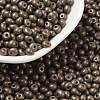 6/0 Glass Seed Beads SEED-L011-08A-09-1
