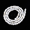 Natural Freshwater Shell Beads Strands SHEL-N026-213-A01-2