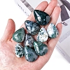 Natural Moss Agate Teardrop Figurines Statues for Home Office Desktop Decoration PW-WG1D02F-01-1