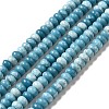 Natural Gemstone Beads Strands G-F730-04B-1