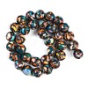 Natural Howlite Beads Strands G-Q017-C03-05-3