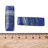 Natural Lapis Lazuli Pendants G-Z151-01C-3