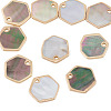 10Pcs Natural Black Lip Shell Hexagon Charms BSHE-TA0001-25-3