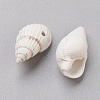 Spiral Shell Beads BSHE-L037-03-2