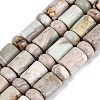Natural Variscite Beads Strands G-Q616-09J-2