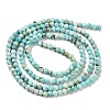 Natural HuBei Turquoise Beads Strands G-G792-38-01-5