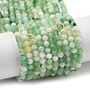 Natural Chalcedony Beads Strands G-G189-D21-04-1