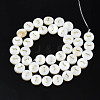 Natural Freshwater Shell Beads SHEL-S276-168J-2