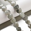 Natural Labradorite Beads Strands G-R190-10mm-35-2