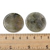 Natural Labradorite Pendants G-B071-01B-3