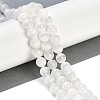 Natural Selenite Beads Strands G-G167-A01-01-2