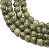 Natural Gemstone Beads GSR6mmC032-11