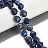 Natural Lapis Lazuli Beads Strands G-G182-B01-06-2