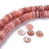 Natural Freshwater Shell Beads Strands X-BSHE-I016-04E-4