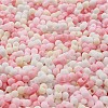 Macaron Color Opaque Frosted Glass Seed Beads SEED-K009-12B-02-3