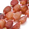 Natural Weathered Agate Beads Strands G-A321-P02-01-2