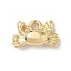 Alloy Charms FIND-Z101-04G-04-1