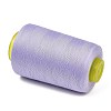 Polyester Machine Embroidery Threads FB-CBA3CB0-01C-2