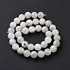 Natural Rainbow Moonstone Beads Strands G-I249-B04-03-5